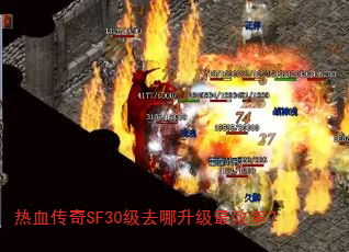 ��Ѫ����SF30��ȥ��������Ч�ʣ�