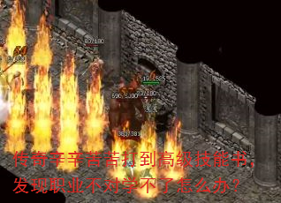 �����������򵽸߼������飬����ְҵ����ѧ������ô�죿