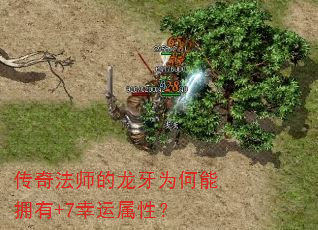 ���淨ʦ������Ϊ����ӵ��+7�������ԣ�
