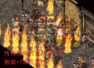 ���淨ʦ������Ϊ����ӵ��+7�������ԣ�