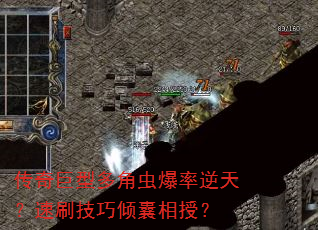 ������Ͷ�ǳ汬�����죿��ˢ�����������ڣ�