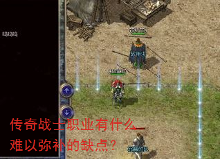 ����սʿְҵ��ʲô�����ֲ���ȱ�㣿