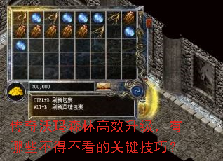 ��������ɭ�ָ�Ч����������Щ���ò����Ĺؼ����ɣ�