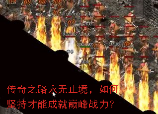 ����֮·����ֹ������μ�ֲ��ܳɾ��۷�ս����
