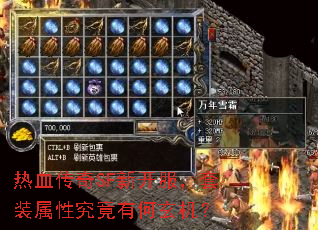 ��Ѫ����SF�¿�������װ���Ծ����к�������