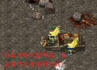 ��Ѫ����SF�¿�������װ���Ծ����к�������