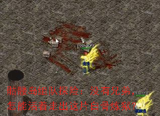 ���õ����̽�գ�û���ֵܣ����ܻ����߳���Ƭ�׹�������