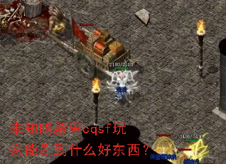 δ֪������cqsf�����ˢ��ʲô�ö�����