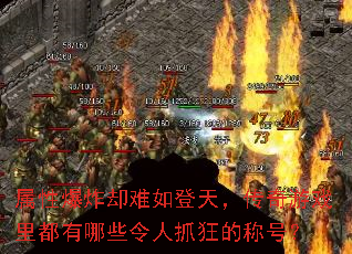 ���Ա�ըȴ������죬������Ϸ�ﶼ����Щ����ץ��ĳƺţ�