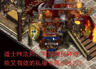 ��ʿPK��ʦ����û��������������Ч��˽��ר��С���ɣ�