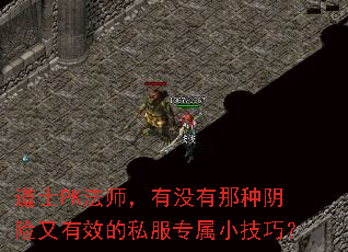 ��ʿPK��ʦ����û��������������Ч��˽��ר��С���ɣ�