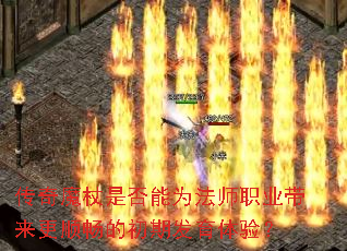 ����ħ���Ƿ���Ϊ��ʦְҵ������˳���ĳ��ڷ������飿