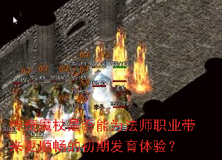 ����ħ���Ƿ���Ϊ��ʦְҵ������˳���ĳ��ڷ������飿