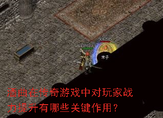 �����ڴ�����Ϸ�ж����ս����������Щ�ؼ����ã�