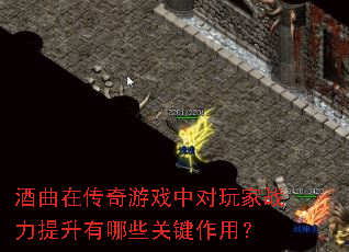 �����ڴ�����Ϸ�ж����ս����������Щ�ؼ����ã�