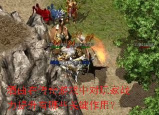 �����ڴ�����Ϸ�ж����ս����������Щ�ؼ����ã�