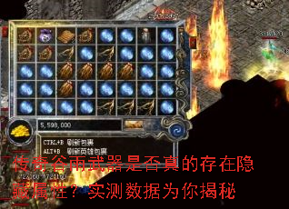 ������������Ƿ���Ĵ����������ԣ�ʵ������Ϊ�����