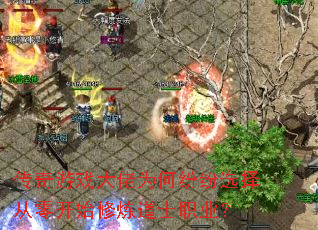 ������Ϸ����Ϊ�η׷�ѡ����㿪ʼ������ʿְҵ��
