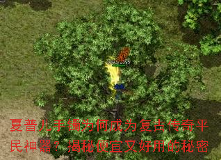 ���ն�����Ϊ�γ�Ϊ���Ŵ���ƽ�����������ر����ֺ��õ�����