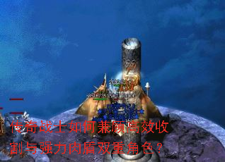 ����սʿ��μ�˸�Ч�ո���ǿ�����˫�ؽ�ɫ��