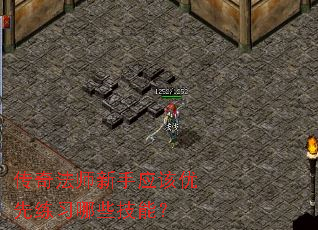 ���淨ʦ����Ӧ��������ϰ��Щ���ܣ�