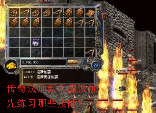 ���淨ʦ����Ӧ��������ϰ��Щ���ܣ�
