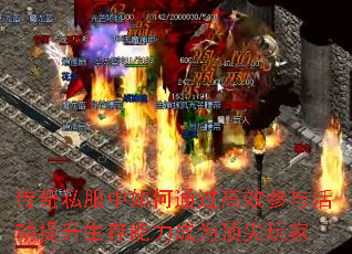 ����˽�������ͨ����Ч������������������Ϊ�������