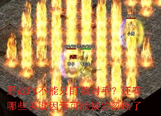 ҰսPK����ֻ���Ŷ��֣�������Щ�ؼ����ؿ��ܱ��������