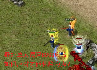 Ұ�ⵥ������BOSSӦ�����Ӧ�Բ��ܻ���Ϊ�ģ�