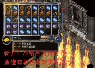 �¿�1.76��Ʒ�괫��Ұ��������Щ��Чʹ�ü��ɣ�