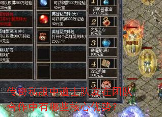 ����˽���е�ʿ�������ŶӺ���������Щ�������ƣ�