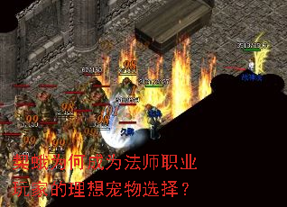 ����Ϊ�γ�Ϊ��ʦְҵ��ҵ��������ѡ��