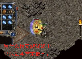 Ϊʲô������Ϸսʿְҵ봽�������ߣ�