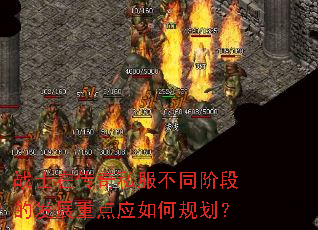 սʿ�ڴ���˽����ͬ�׶εķ�չ�ص�Ӧ��ι滮��