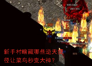 ���ִ尵����Щ����ݾ��ò���������