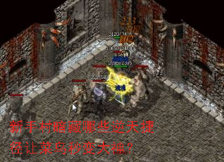 ���ִ尵����Щ����ݾ��ò���������