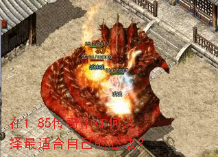 ��1.85���������ѡ�����ʺ��Լ����ķ���