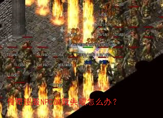 �����ѷ�NPC����ʧ����ô�죿