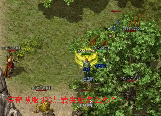 �����ѷ�NPC����ʧ����ô�죿