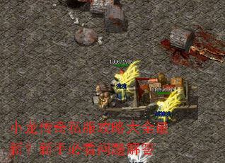 С������˽�����Դ�ȫ���£����ֱؿ�������
