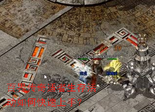 �ٽ紫������������ο������֣�