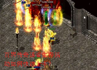 �ٽ紫������������ο������֣�