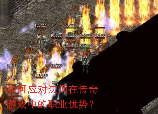 ���Ӧ�Է�ʦ�ڴ�����Ϸ�е�ְҵ���ƣ�