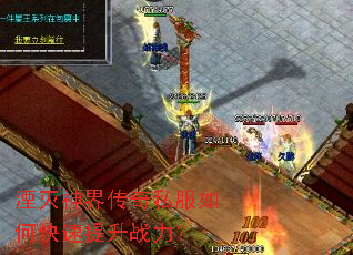 ������紫��˽����ο�������ս����