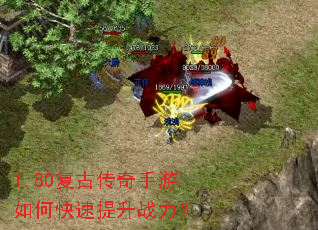 1.80���Ŵ���������ο�������ս����