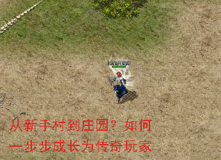 �����ִ嵽ׯ԰�����һ�����ɳ�Ϊ�������