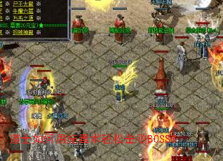 ��ʿ�����ʩ�������ɻ���BOSS��