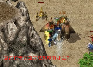 ���Ŵ��湫��򷨹�������Щ��