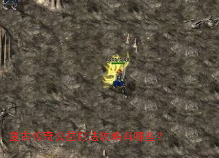 ���Ŵ��湫��򷨹�������Щ��