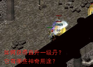 ��λ��ֱ��һ������������Щ������;��